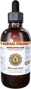 HawaiiPharm Prostata Support Nahrungsergänzung: Pygeum (Pygeum Africanum) Bark, Saw Palmetto (Serenoa Repens) Berry, Stinging Nettle (Urtica Dioica) Blatt Tincture (Alcohol-Based Liquid Extract) 2 oz