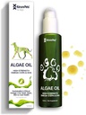Omega 3 kutyák, bőr és kabát kiegészítés kutyák, algák olaj, alternatív halolaj kutyák, allergia és kutya Itch Relief, kutya anti shedding kiegészítés, kutya száraz bőr kezelés, Új-Zéland 120ml