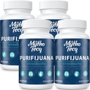 1500 MG Detox and Cleanse, Body Detox für Männer & Frauen, Fast Detox, Kidney Cleanse Detox & Repair, Natural Herbal Premium Formel für Leber, Urinary Tract, Digestion & Mood, Made in USA, 240 Caps