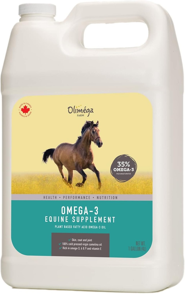 Camelina olaj lovaknak, 1 gallon Olíva Farm szerint 124; Magas Omega3 & vitamin E-vitamin 124; Támogatás egészséges ízesítéshez, Coat & Skin