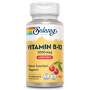 SOLARAY Vitamin B12 2000 mcg Lozenges - Kein Zucker, Natürliche Kirsch Flavor Vitamin B 12 Ergänzung für Nerve-Funktion, Energie und Rote Blutzellen Unterstützung - Lab Verified, Vegan - 90 Servietten, 90 Lozenges