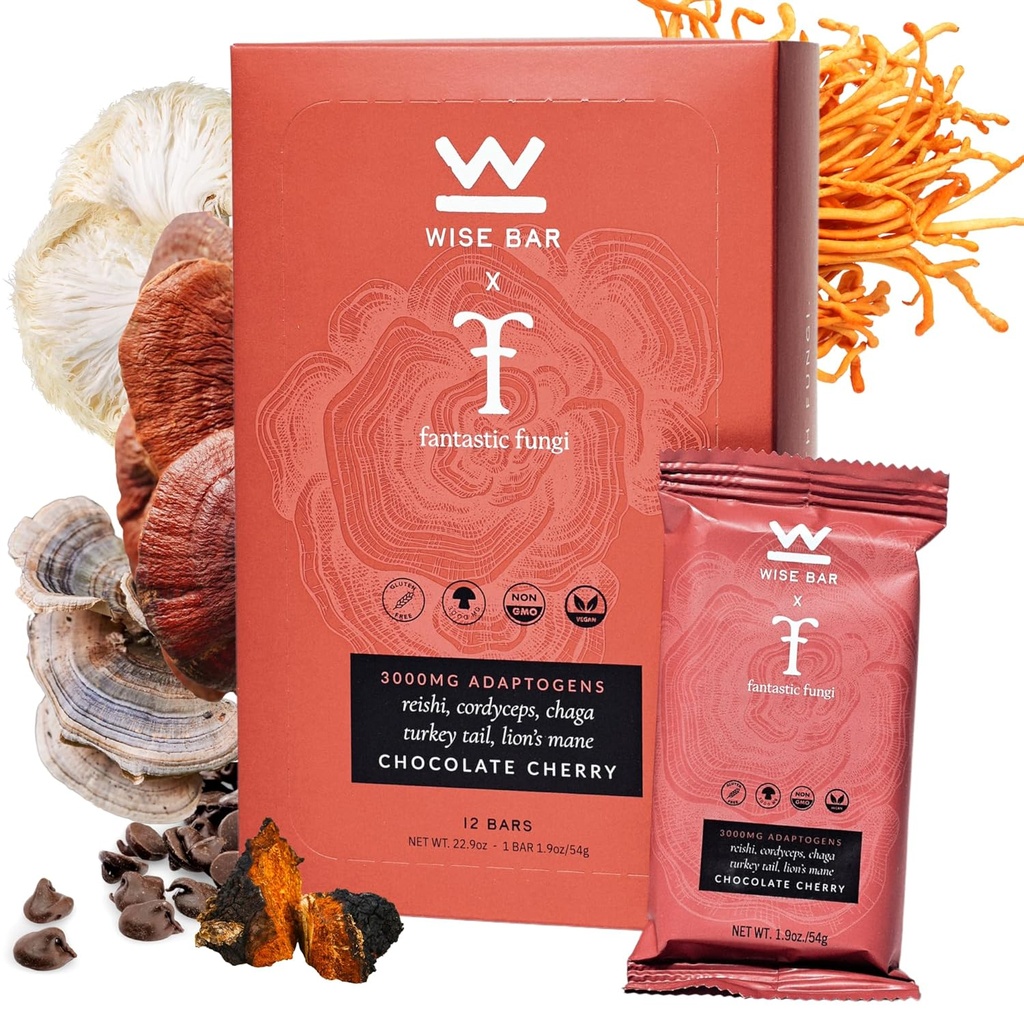 Bölcs Bar Adaptogen Gumós Táplálkozók Reishi, Lions Mane & Ashwagandha, Organic Vegan & Gluten Free Snack for Natural Focus, Energy & Immunity Support, Chocolate Cherry Flavor, 12 Count