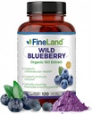 FineLand Wild Blueberry 10: 1 kivonat, 6000 mg Strength, 120 Vegan Capsules, Rich in Flavonoids & Antocianins, Antioxidant Support for Brain & Heart Health, 4- hónap ellátás, nem GMO Made in USA