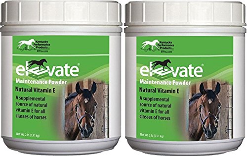 Kentucky teljesítmény termékek 2 csomag emelt karbantartási teljesítmény, 2 font minden, természetes E-vitamin E ló kiegészítés