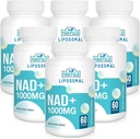 Liposzómás NAD + 1000 mg-os kiegészítés