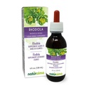 Naturalma Rhodiola rosea (Sedum roseum) Root Alcohol-Free Tincture - 4 fl oz Liquid Extract in Drops - Herbal Supplement - Vegan