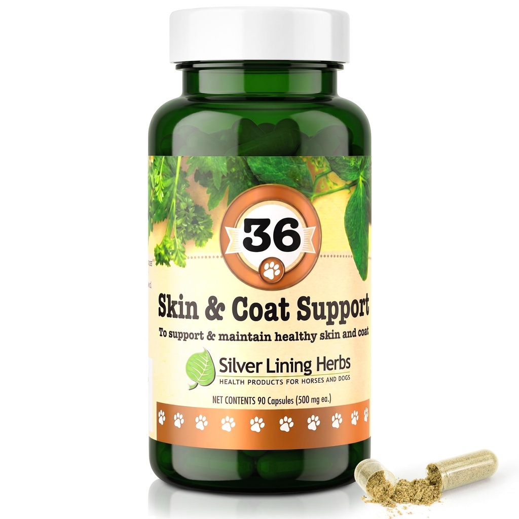 36 Canine Skin & Coat Support - Natural Herbal Supplement to Fortify Dogs Against the Environment - Herbal Skin and Coat Supplement for Dogs - 90 Capsules