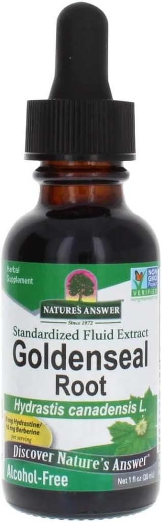 Natur Antwort Golden Seal Root Extract Alkohol Kostenlos 1 Unze | Natürliche Immun Booster | Fördert Lung Health