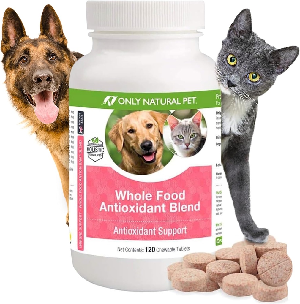 Nur natürliches Pet Ganzes Essen Antioxidans Grüner Tee & Berry Antioxidante Vitamin-Ergänzung Mischung für Hunde, um ein gesundes Immunsystem zu unterstützen, Kampf freie Radikale Schäden - 60 Weiche Kauen