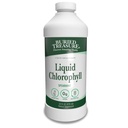 Eltemetett kincs Folyékony klorofill 100 mg, Diétás kiegészítés, Emésztőrendszeri támogatás Természetes test dezodor Vegán Nem-GMO Alkohol mentes, Spearmint Flavor 32oz