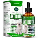 Természetes antibiotikumok kutyáknak és kutyáknak