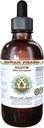 Olive Alcohol- Free Liquid Extract, Organic Olive (Olea europa.ea) Szárított leveles glicerit természetes növényi kiegészítés, Hawaii Pharm, USA 2 fl.oz