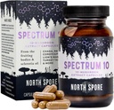North Spore Organic 'Spectrum 10' Pilzextrakt Kapseln | Kognitive Ergänzung | Lion's Mane, Chaga, Cordyceps, Reishi, Turkey Tail | 10 Medicinal Mushrooms | Energy, Focus, Clarity - 120 ct