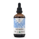 Astragalus USDA Organic Affahol- Free Extract Acheol- Free Extract 124; Diétakiegészítés, High- Potency Tincture