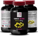 Ginkgo biloba Natürliches Antioxidans - Ginkgo BILOBA Extrakt - pflanzliches Antioxidans Pulver, Ginkgo biloba Ergänzung, natürliches Antioxidans Extrakt, pflanzliches Antioxidans Unterstützung, Ginkgo Vorteile 1 Bot 60 Caps