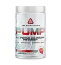 Core Nutritionals Pump Full- Spectrum Non- Stimulant Pre- Edzés, N03T Nitrate, Peak02, Alpha GPC, a maximális szivattyú, Erő, és teljesítmény 20 Servings (Cherry Burst)