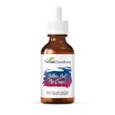 Gyógynövény jóság keserű, de nincs szar folyadék kiegészítés test tisztítás, energia támogatás és egészség boost a 124; Non-GMO Burdock Root Organic, Bitter Melon, Maca Root, Gyermekláncfű Root - 2 fl. oz per üveg