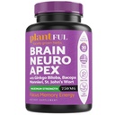 Nootropic Brain Ergänzung für Fokus, Energie, Gedächtnis und Klarheit Booster | Schnelle Absorption Brain Vitamine für Erwachsene – Nootropics Pillen mit Ginkgo Biloba, St Johns Wort, Bacopa Monnieri