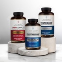 VITASEI Men 's Health Power Pack - Testronix, Prostabionic & Máj Cleanse Bundle - Fokozott energia, izom, prosztata, és máj-egészség célzott kiegészítők