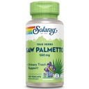 SOLARAY Saw Palmetto Berry 580 mg, Gesunde Prostata und Urinary Tract Unterstützung von Fatty Acids & Plant Sterols für Männer und Frauen, Non-GMO, Vegan & Lab Verified, 100 VegCaps, 100 Servietten