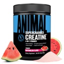 Animal Supercharged Creatine Powder - Flavored Creatine Monohydrate Verbessert mit Betaine Anhydrous, PurpleForce & Senactiv, Stärke, Ausdauer, Muskelrückgewinnung für Männer und Frauen - Wassermelone, 300g