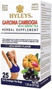 HYLEYS Tea Garcinia Cambogia Zöld Tea Acai Berry Flavor - 25 Tea Bags (12 csomag - 300 Tea Bags Total)