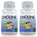 Premium kolin - 500 mg - 120 Veggie kapszula - Kognitív egészség, memória és több - 2 csomag