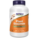 Now Foods kiegészítők, Növényi Enzimek laktáz, proteáz, Papain és Bromelain, 240 Veg kapszula
