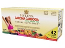 HYLEYS Tea Garcinia Cambogia Zöld Tea válogatott aromákkal - 42 Tea Bags