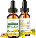 Mullein cseppek a tüdők, Lung Detox & Cleanse a füstölő, Organic Mullein levélkivonat a tüdők w. Elderberry, Ginger, Mullein Tinktúra alkohol mentes légzőszervi tüdő egészség 2 FL / OZ