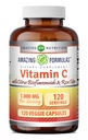 Bámulatos formulák C-vitamin (aszkorbinsav) 1000 Mg Rose HIPS & Citrus Bioflavonoids d.o.124; Veggie Capsule Supplement n.e.124; Non-GMO d.o.124; Glutén Szabad Vitamin 124; Made in USA (120 Count)