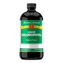Bernard Jensen 100% -os tisztaságú természetes klorofill-flavor folyadék-adalékának 124; Promotes Alkaline Ph-124; Segít a tiszta vérnek 124; 16 fluid ounce (474 ml)