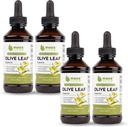 Maxx Herb Olive Leaf kivonat - Max Strength Oleuropein Liquid Absorbs Jobb, mint kapszula vagy tea, Immune Support, Heart Health, és Szezonális Wellness - 4 palackok, 4 Oz Each (240 szerváció)