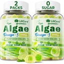 Omega 3 Gummees 2200mg Algae Oil (DHA 640mg & EPA 290mg) a nők és férfiak, Vegan Omega 3 Fish Oil Alternative, w / CoQ10, Astaxantin, E-vitamin, D3 az agy, szem, antioxidáns, cukor mentes 2Packs