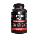 PURE ERIGENS INGREDIENS L- Lysine HCl (365 kapszula) No Magnézium Or Rice Fillers, Mindig tiszta, Lab ellenőrzött