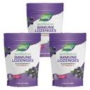 A természet útja Sambucus Immune Lozenges, nagy potencia C-vitamin, Elderberry, Wild Cherry ízesített, 24 Lozenges (csomagolás május Vary) - 3 Pack