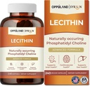 Lecitin- 240 Softgels- Támogatja az agy egészségét