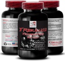 Natural Stamina Boost - TRIBULUS Terminalis kivonat - Erő & Aktivitási támogatás, Energy Optimization Formula, Plant-Based Power, Body Performance Blend, Active Recovery, Energy Flow 1Bot 90Tabs