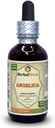 Chinese Angelica (Angelica archangelica) Tincture, Organic Dried Root Liquid Extract (Brand Name: HerbalTerra, Proudly Made in USA) 2 fl.oz (60 ml)