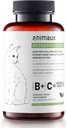 animaux – Nährstoffe für Katzen, All-Natur-Katzen-Vitamine, Cat Essentials, um das Immunsystem und den natürlichen Zellschutz zu stärken, Gesunde Haut und glänzende Mantel, 120 Kautabletten, 120 Tage Versorgung
