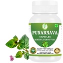 Punarnava Kapseln (Boerhaavia Diffusa) 500mg – 60 Veg Kapseln | Kräuter-Wellness-Ergänzung für natürliche Nieren- und Leberunterstützung | Pflanzenbasierte Detox & Cleansing Formel | Paket von 1