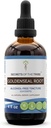 Geheimnisse der Tribe Goldenseal Wurzel Tincture Alcohol-Free Extrakt, hochauflösende Kräutertropfen, Tinktur aus verantwortungsvoll gezüchteten Goldenseal Hydrastis Canadensis Gesunde Verdauung 4 Unze