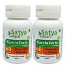 Bitter Melon Forte Capsule 500 mg. 60 Veg. Kapsel | Karela (Momordica Charantia) Extrakt Kapseln für Männer und Frauen | Ayurvedische Kräuterergänzung / Heilmittel | 10:1 Forte (2 Flaschen von 60 Kapseln)