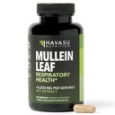 Mullein Leveles kapszula a légzőszervi egészségre - 5000mg kivonat 10: 1 tüdő támogatás és immunfunkció - 90 Count - Vegan, Non-GMO kapszula - gyógynövény kiegészítés a napi wellness - 3 hónap ellátás