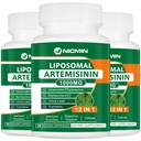 Liposzómás artemizinin kiegészítés 1000mg, Édes Wormwood kivonat 200mg Quercetin Phytosome, Maximális abszorpció antioxidáns 180 kapszula