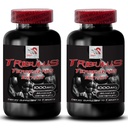 Növelje a nemi vágy - TRIBULUS TERRACIS EXTRACT - Tribulus terrestris kivonat energiaforrás, Szexmeghajtó tabletták férfiak és nők, Szexmeghajtó tabletták, Libidó emlékeztető - 2 üveg 180 tabletta