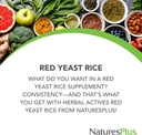 NaturesPlus Herbal Actives Red Yeast Rice - 120 Vegetáriánus kapszula, 2 - Maximum Potencial Herbal Supplement - Gluten Free - 240 Összes szolgáltatás