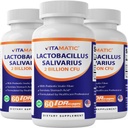 Vitamatic Lactobacillus Salivarius 2 billió / DR kapszula - 60 gróf - Emésztési támogatás - Prebiotikus inulin fiber (3 üveg)