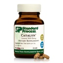 Standard Process Catalyn - Általános Well- Being Tablet to Aid Antioxidant Activity - Tartalmazza a Vitamins A, B6 & D - Bridge Nutritional Gaps - Non- Dairy & Non- Soy - 90 tabletta (30 adag)