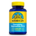 Nature's Life Energizing Niacinamide, Vitamin B3 1000mg - Hohe Potenz, keine Flush Niacin Ergänzung - Nerve Funktion, Energie und Stoffwechselunterstützung - 60-Tage Garantie - 100 Servietten, 100 Tabletten
